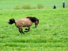 Vaenting