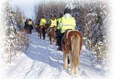 Maastoratsastusta, kuva Markku Rajala